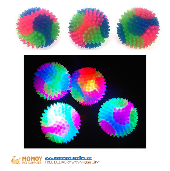 [R] TOY - FLASHING BOUNCY BALL -P95.00