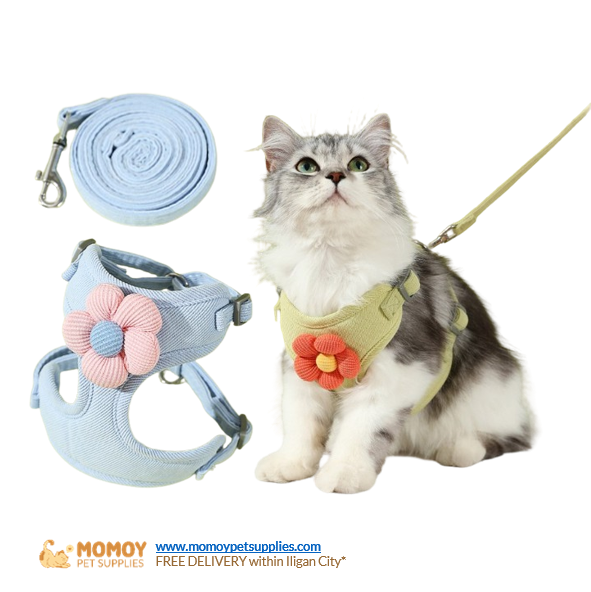 PET HARNESS W/ LEASH FOR SMALL PETS (7-10KG)
