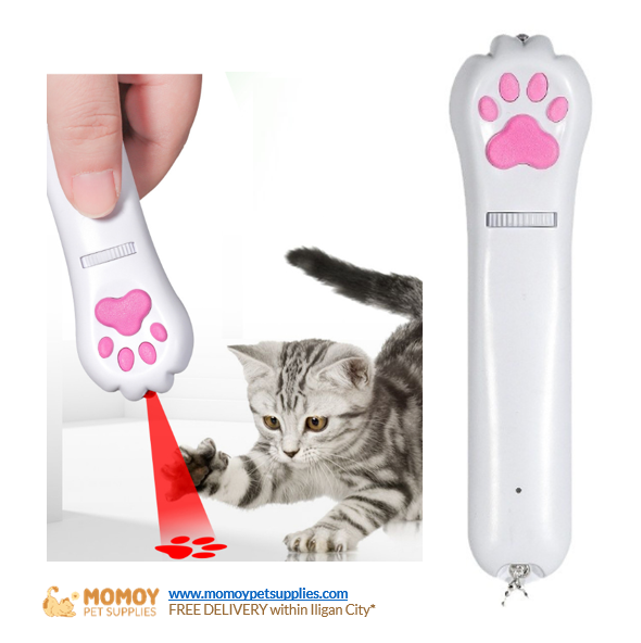 TOY - 6 IN 1 LED LASER PATTERN WITH USB CHARGER AND BALL CHAIN (PATTERN: FISH BONE, RAT, LOVE HEART, BONE, PAW, DOT) 