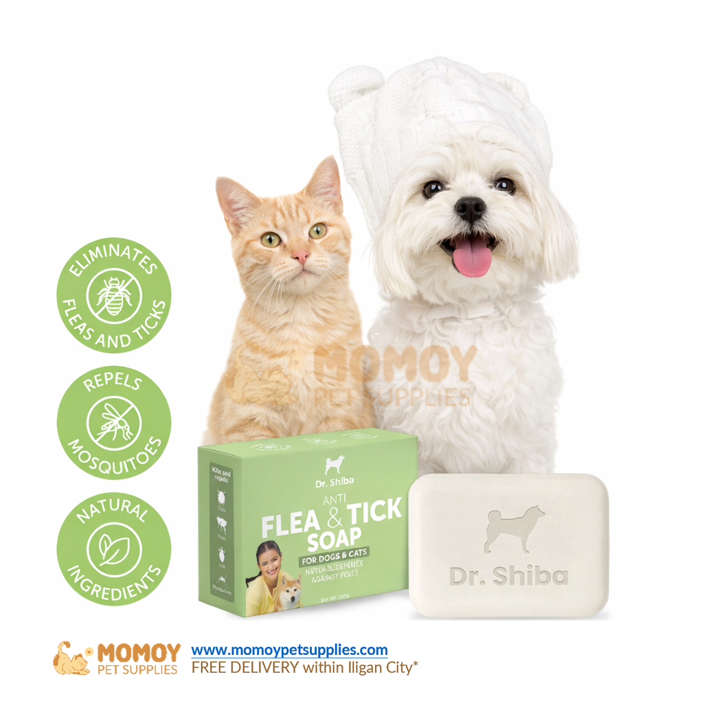 DR. SHIBA ANTI TICK & FLEA SOAP FOR CATS AND DOGS REPELS MOSQUITO 100G
