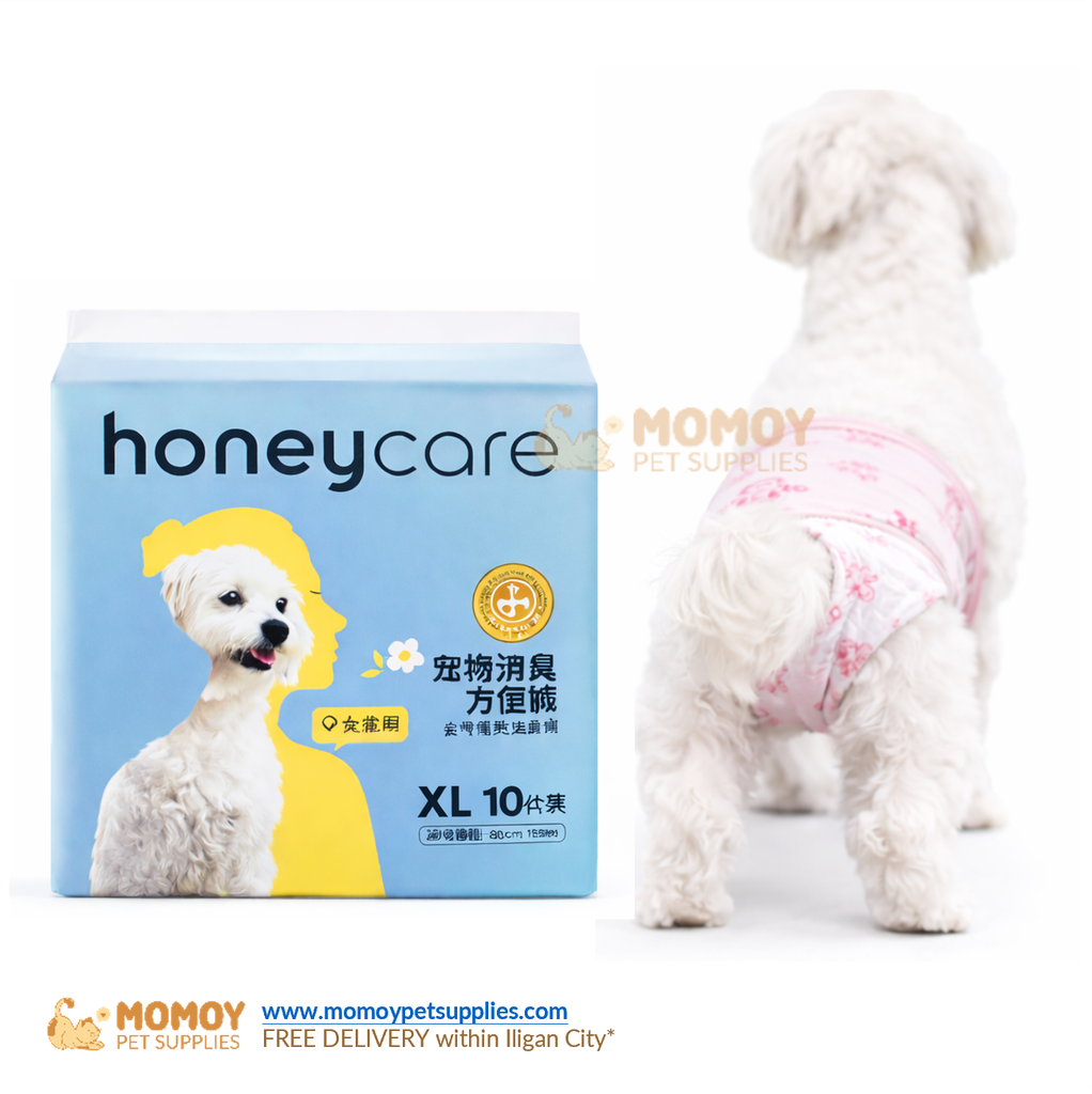 *NEW: HONEYCARE DISPOSABLE DIAPER FEMALE (X-LARGE) 1PACK 10PCS