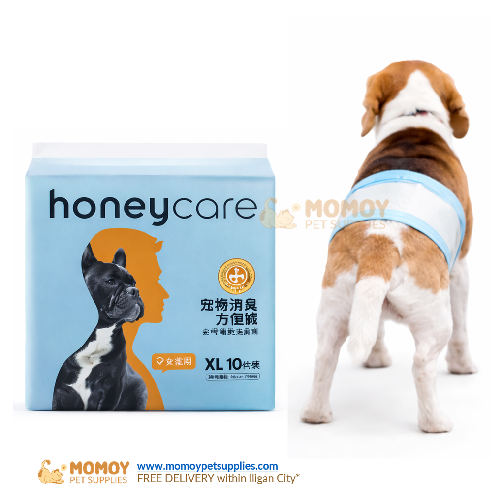 *NEW: HONEYCARE DISPOSABLE DIAPER MALE WRAPS (X-LARGE) 1PACK 10PCS 