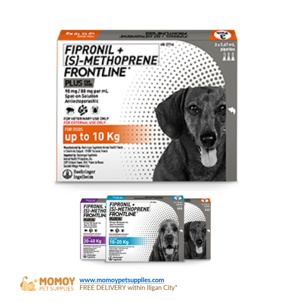 FRONTLINE®PLUS A. FOR DOGS SPOT-ON ANTI ITCH, TICK, FLEAS, CHEWING LICE BELOW 10KG DOG (SMALL) 1PC/PIPETTE