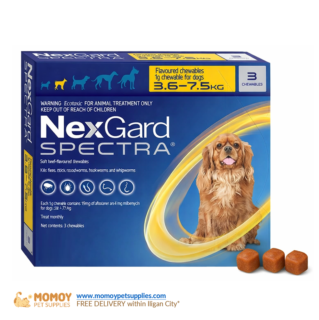 *NEW: NexGard SPECTRA® B. SINGLE ANTI-TICK, FLEA, MANGE AND DEWORMING CHEWABLE TABLETS (MEDIUM DOGS 3.5KG - 7.5KG) SOLD BY PIECE 