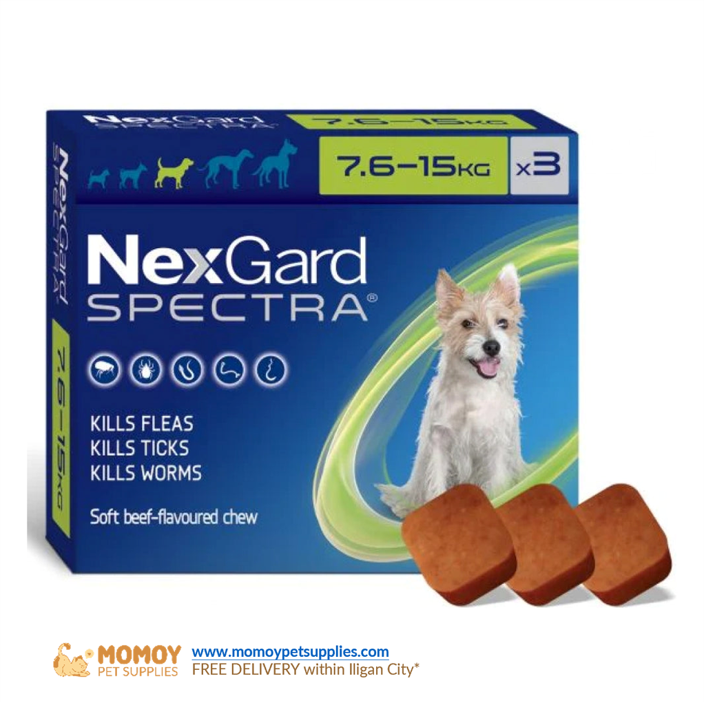 [R] NexGard SPECTRA® C. SINGLE ANTI-TICK, FLEA, MANGE AND DEWORMING CHEWABLE TABLETS (MEDIUM-LARGE DOGS 7.5KG - 15KG) SOLD BY PIECE - P895.00