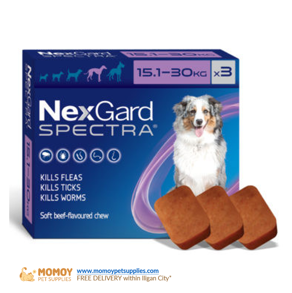 [R] NexGard SPECTRA® D. SINGLE ANTI-TICK, FLEA, MANGE AND DEWORMING CHEWABLE TABLETS (MEDIUM-LARGE DOGS 15KG - 30KG) SOLD BY PIECE - P985.00