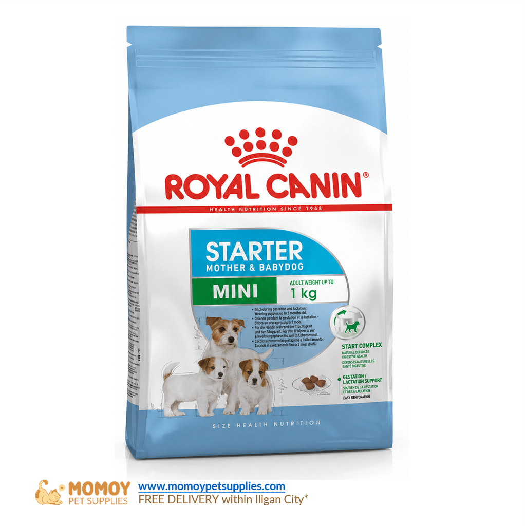 [R]ROYAL CANIN DOG FOOD DRY - MINI STARTER 1KG ORIGINAL PACKAGING P650