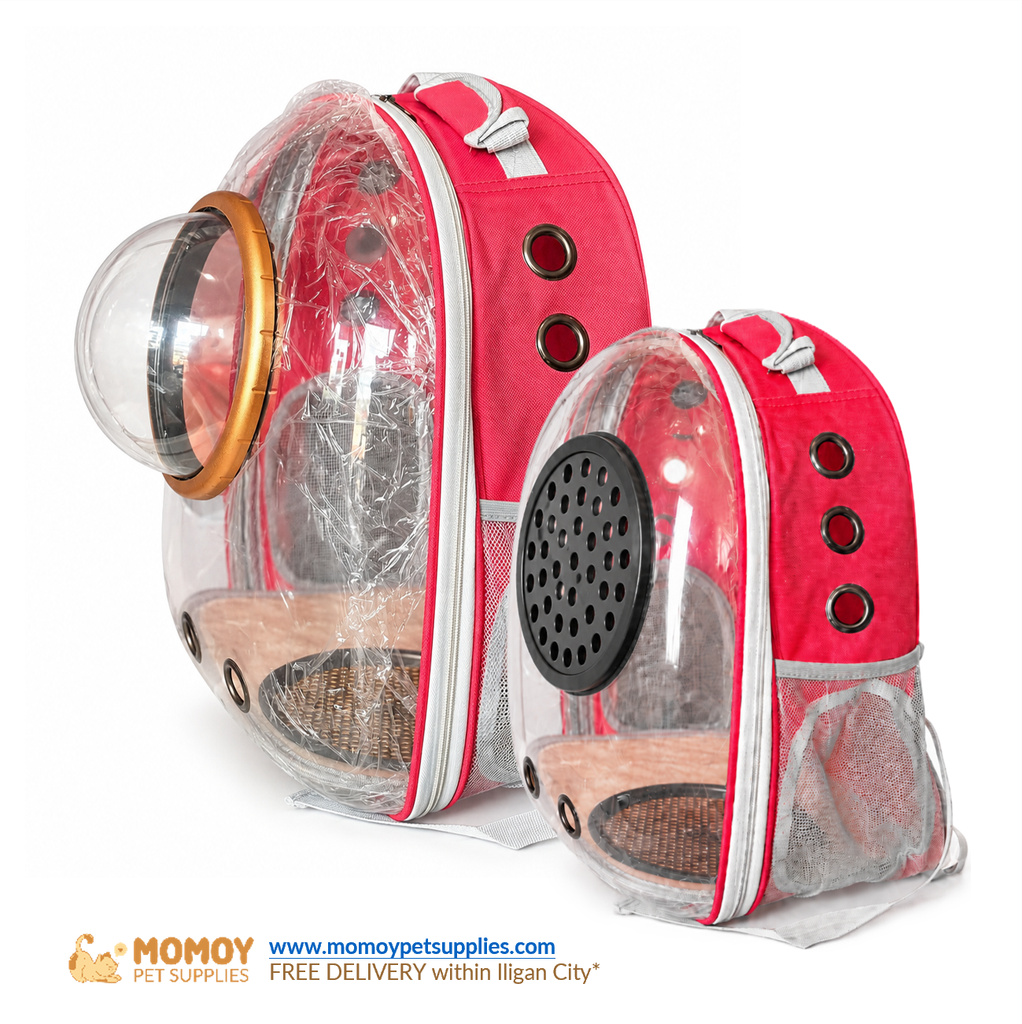 PET CLEAR SPACE COVER CONVERTIBLE BAG (42*16*34CM) 