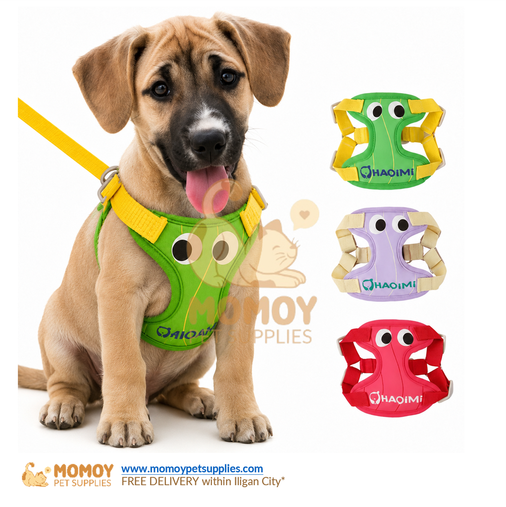 PET CHEST STRAP STYLE CUTE GRAPHIC LEASH - MEDIUM