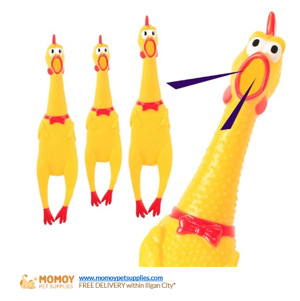 TOY - SCREAMING CHICKEN (38*7CM)