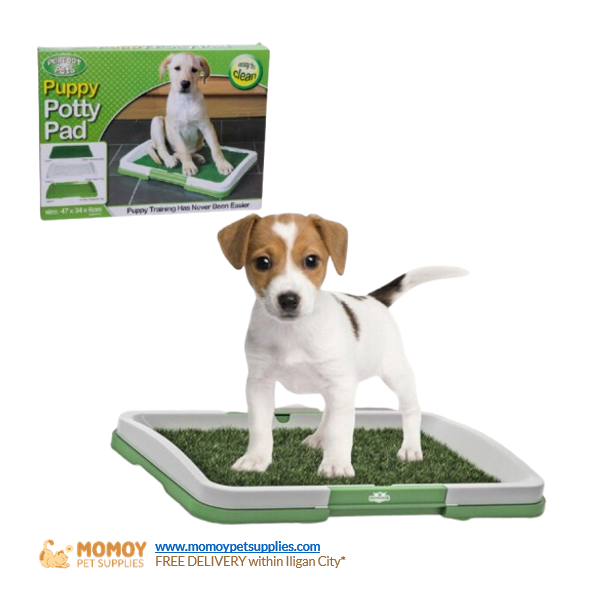 PERFECT PETS 3-LAYER PET POTTY TRAINER LAWN (47X34X6CM)-₱390 
