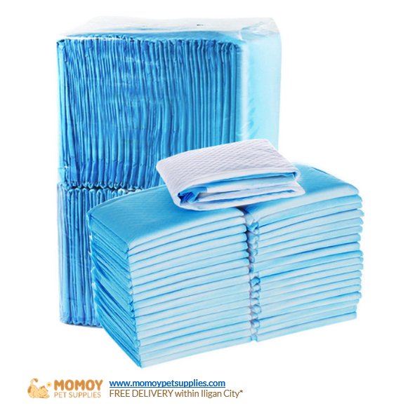 PET TRAINING PAD (60*60CM) 1PC 
