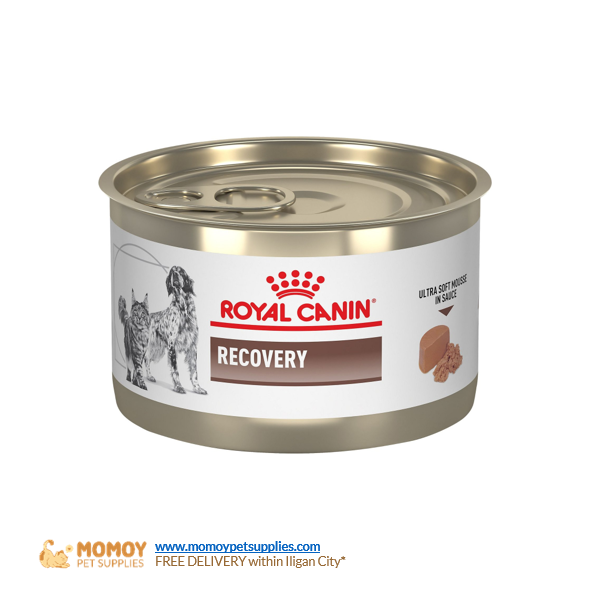 ROYAL CANIN CAT FOOD/DOG FOOD WET - ALL STAGES RECOVERY 