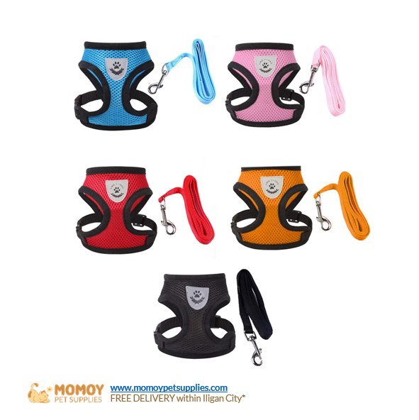 [R] PET HARNESS WITH LEASH LARGE - P165