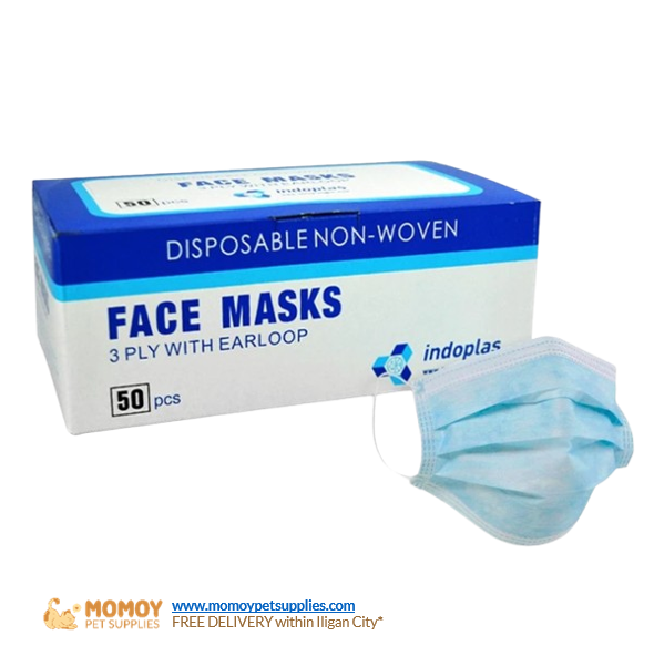 FACE MASK 3PLY WITH EARLOOP (BOX OF 50) 