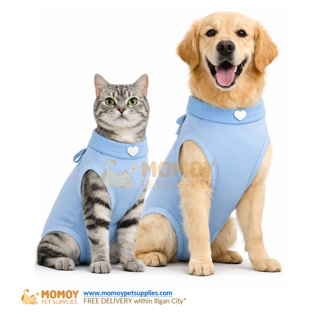 CAT RECOVERY SUIT - ANTI SCRATCH | ANTI-BITE | AFTER SURGERY SUIT FOR CATS AND DOGS (SMALL)