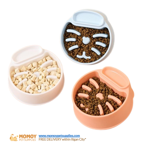FEEDING BOWL - SLOW EATING BOWL