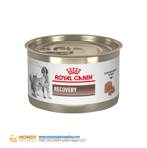 ROYAL CANIN CAT FOOD/DOG FOOD WET - ALL STAGES RECOVERY 