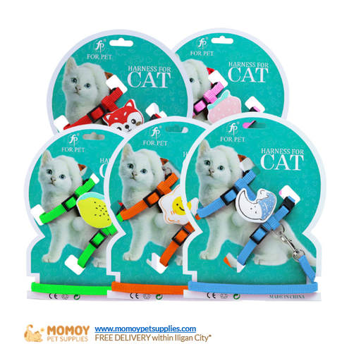 [R]PET HARNESS WITH CHARACTER DESIGN W/ LEASH FOR CATS P150