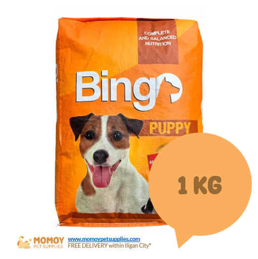 BINGO DOG FOOD DRY - PUPPY 1KG - P125 