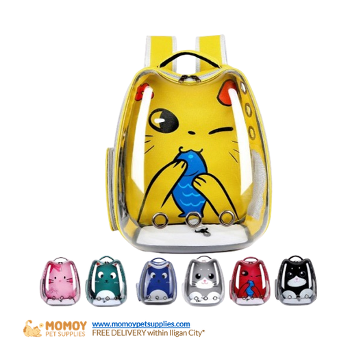 PET CLEAR SPACE CARRYING BAG (34X10X28CM) - P620