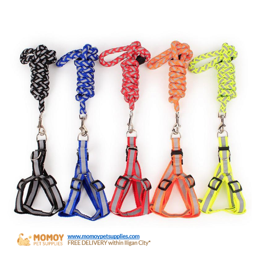 PET REFLECTORIZED WOVEN HARNESS (2.5*120 CM)