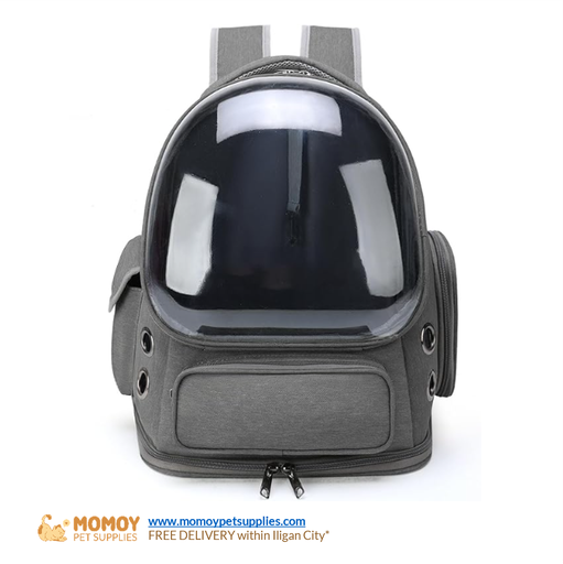 PET CLEAR SPACE STYLISH BAG (42X34X27CM)