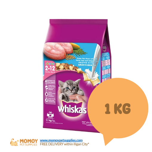 WHISKAS CAT FOOD DRY - KITTEN 1KG (REPACK) 