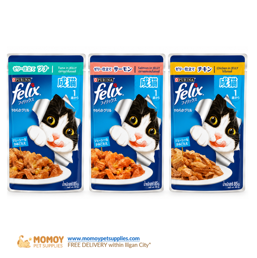 *NEW: FELIX CAT FOOD WET - KITTEN 85G  